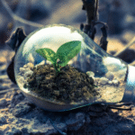 How Technology Supports Environmental Innovation
