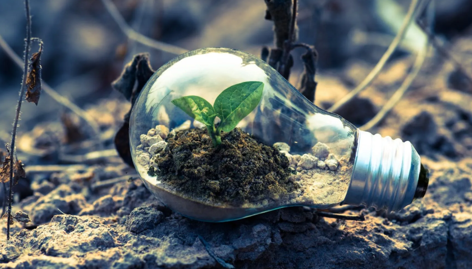 How Technology Supports Environmental Innovation