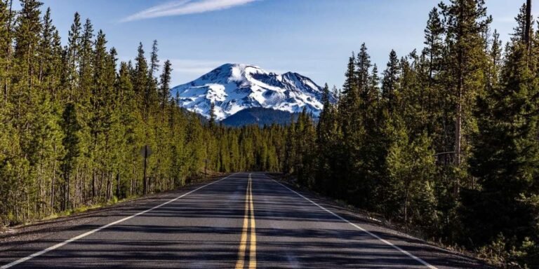 NAEGELI Deposition and Trial