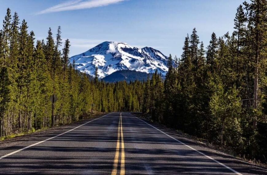 NAEGELI Deposition and Trial