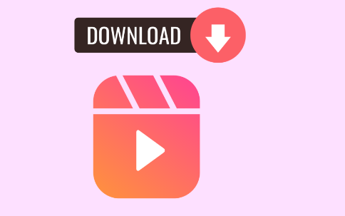Best 5 Insta Video Downloader Websites for Free Downloads & Instagram Story Viewing