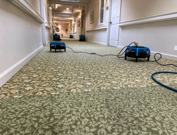 Water Damage Restoration in Houston: What Every Property Owner Should Know