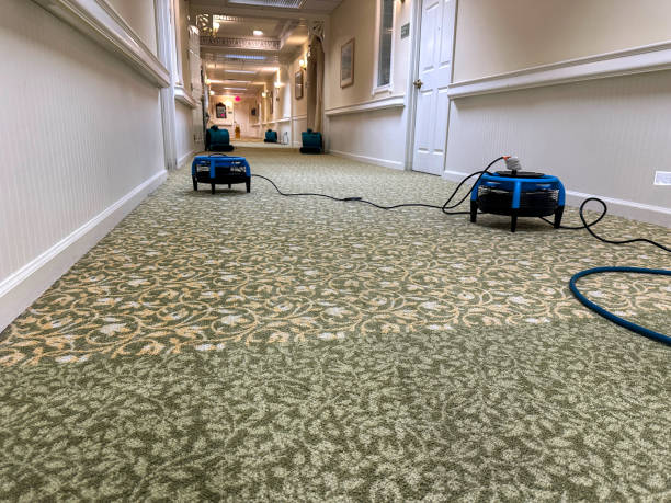 Water Damage Restoration in Houston: What Every Property Owner Should Know